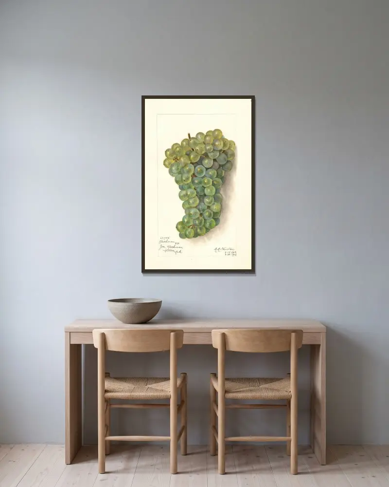 Vitis: Backman von Amanda Almira Newton gerahmt an einer Wand