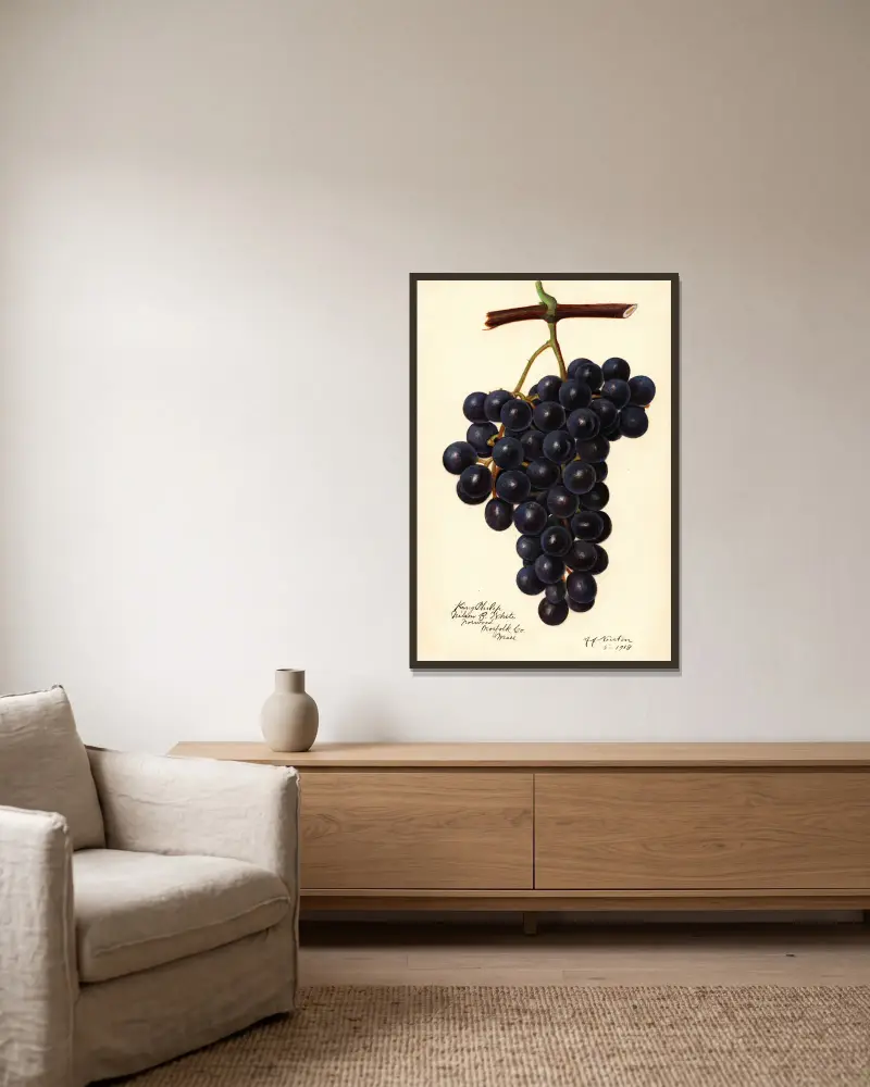 Vitis: King Philip, Amanda Almira Newton v rámu na stěně