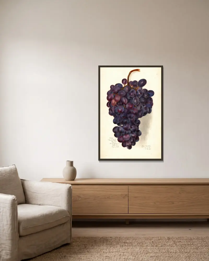Vitis: Malakoff Isjum von Amanda Almira Newton gerahmt an einer Wand