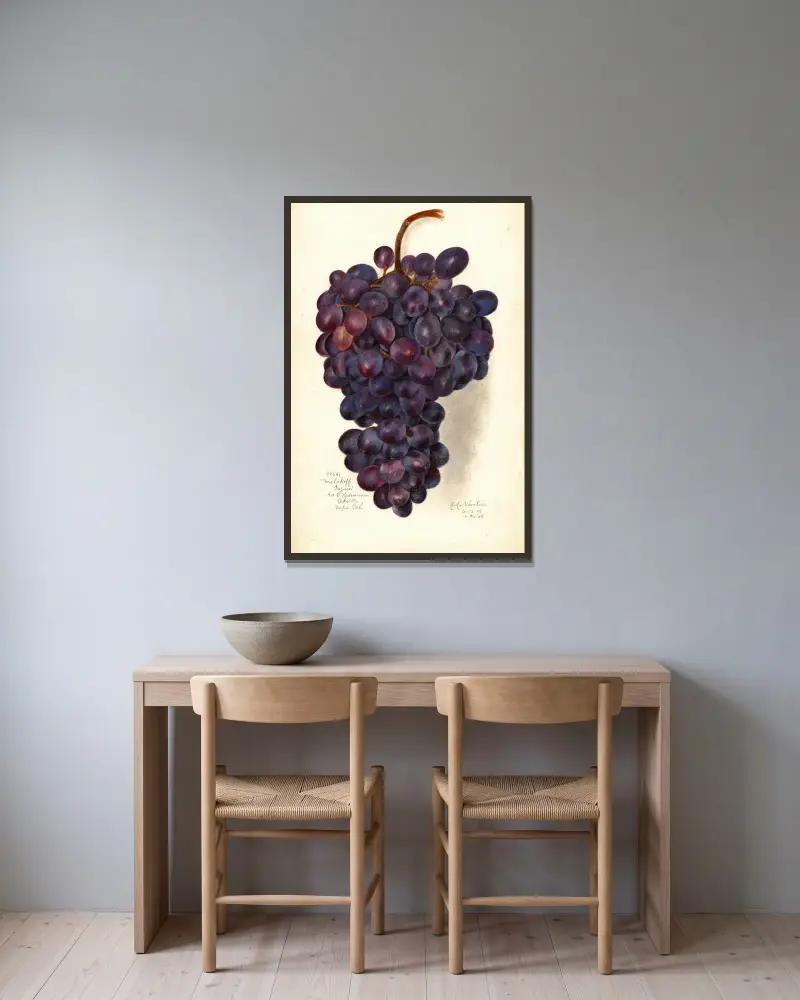 Vitis: Malakoff Isjum von Amanda Almira Newton gerahmt an einer Wand