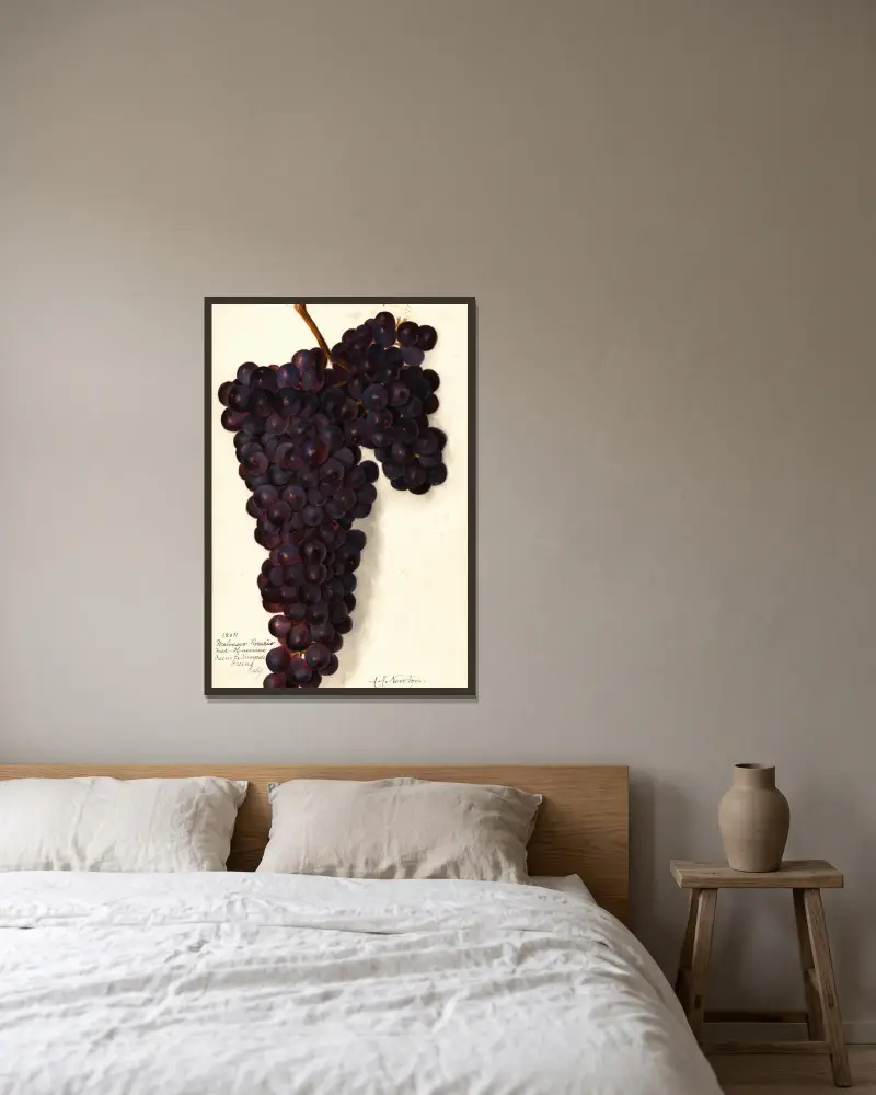 Vitis: Malvasia Rosario av Amanda Almira Newton inramad på en vägg