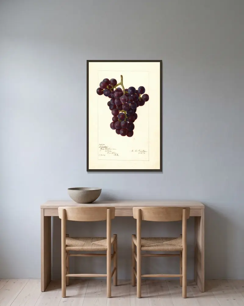 Vitis: Sunrise von Amanda Almira Newton gerahmt an einer Wand