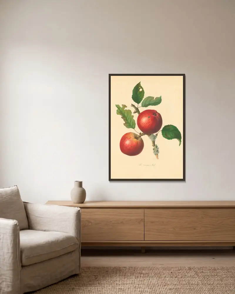 Cowarne Red von Thomas Andrew Knight gerahmt an einer Wand