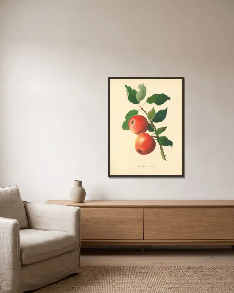 Garter Apple von Thomas Andrew Knight gerahmt an einer Wand