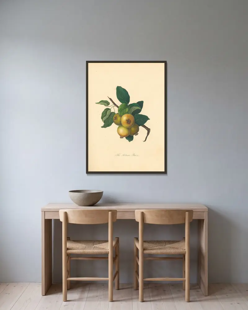 Holmore Pear von Thomas Andrew Knight gerahmt an einer Wand
