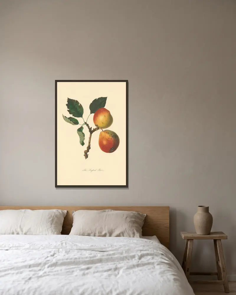 Longland-Birnen von Thomas Andrew Knight gerahmt an einer Wand