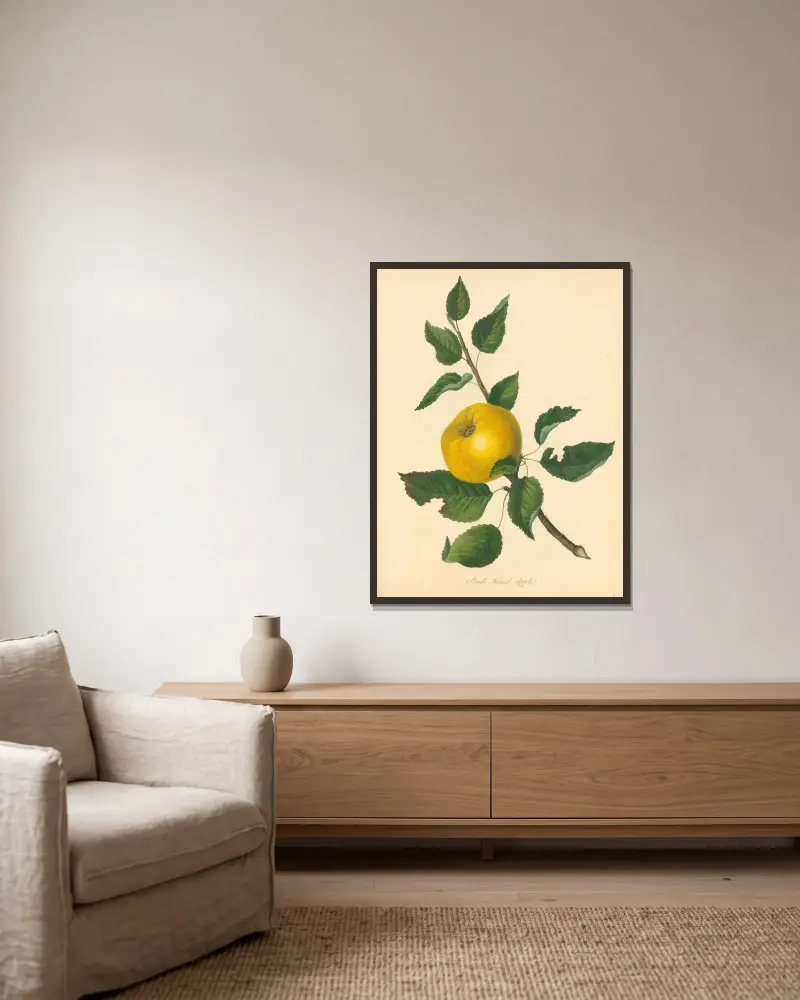 Stead's Kernel Apple, Thomas Andrew Knight v rámu na stěně