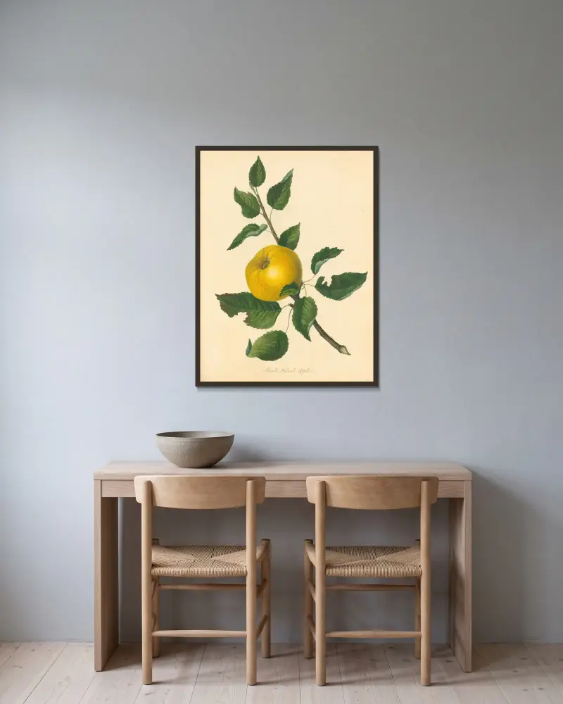 Stead's Kernel Apple, Thomas Andrew Knight v rámu na stěně