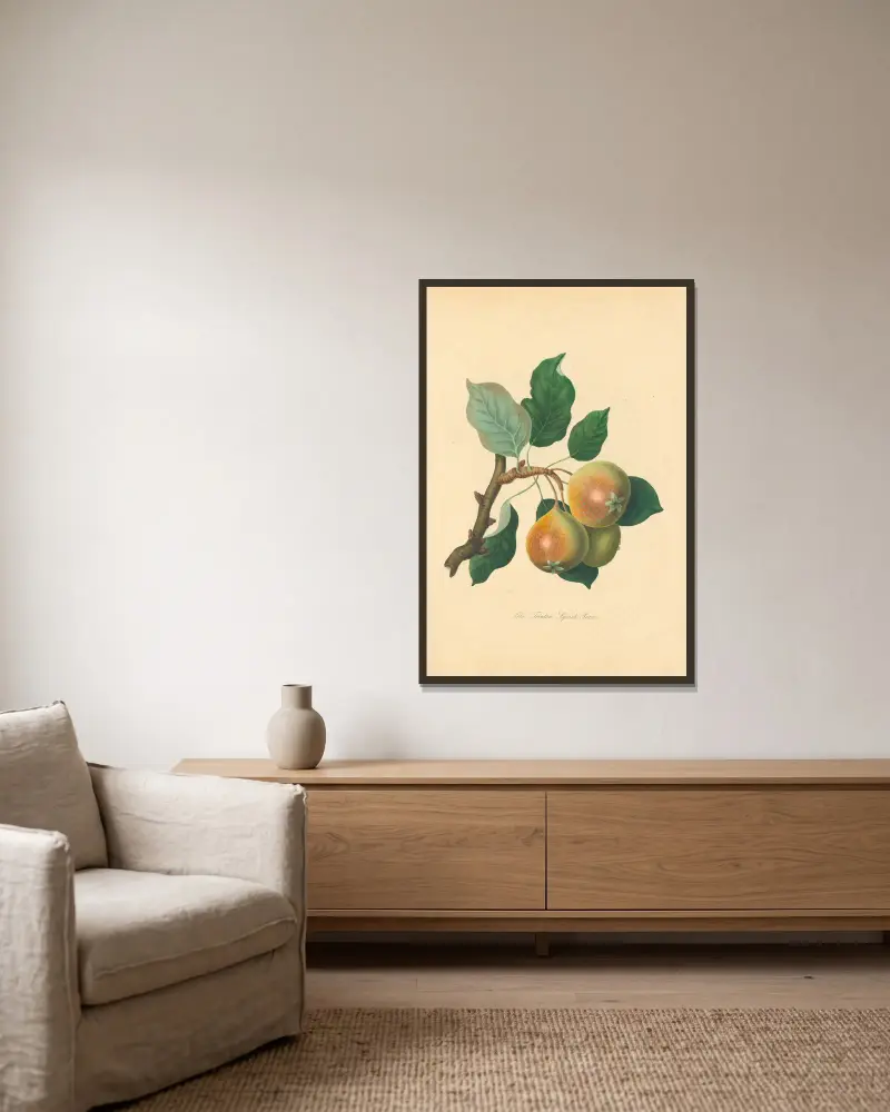 Teinton Squash Pear von Thomas Andrew Knight gerahmt an einer Wand