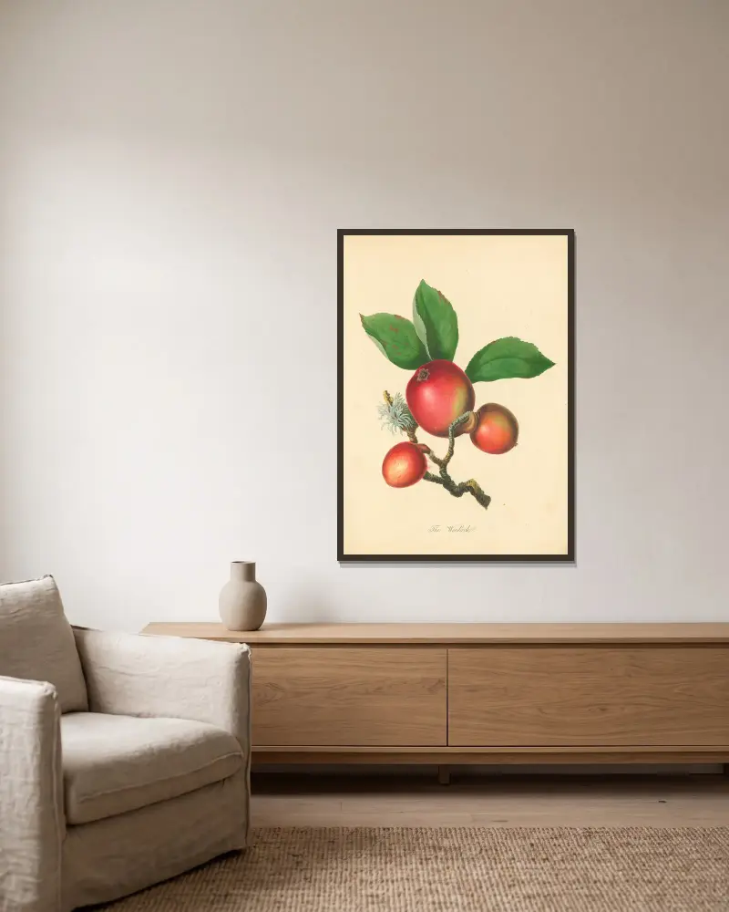 Waldschnepfe von Thomas Andrew Knight gerahmt an einer Wand