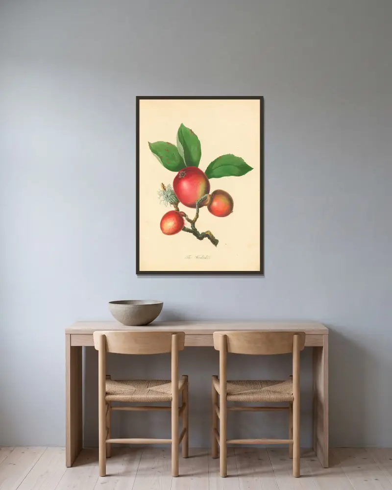 Waldschnepfe von Thomas Andrew Knight gerahmt an einer Wand