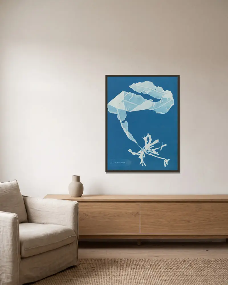 Alaria esculenta von Anna Atkins gerahmt an einer Wand