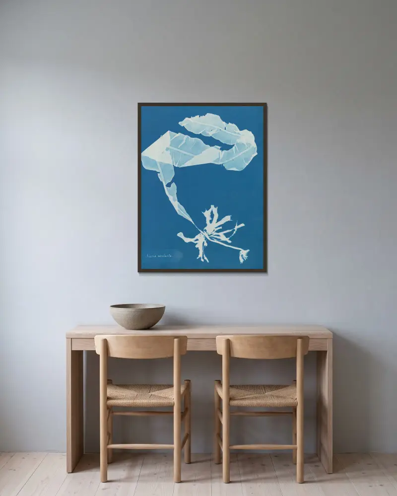 Alaria esculenta von Anna Atkins gerahmt an einer Wand