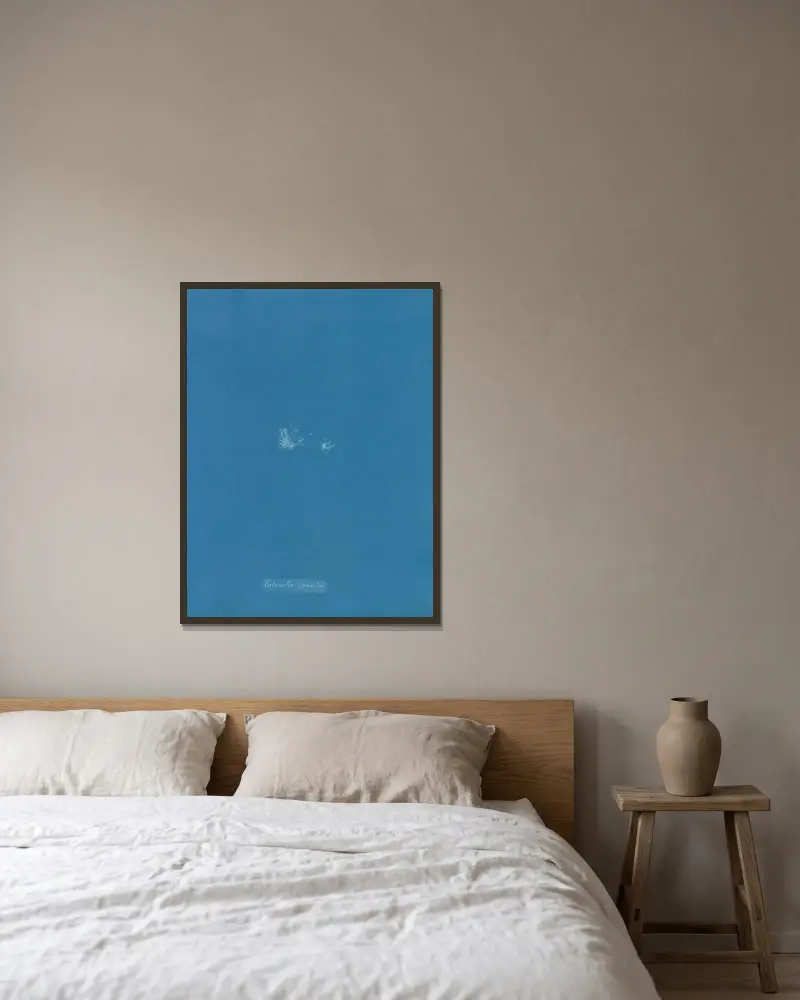 Catenella opuntia von Anna Atkins gerahmt an einer Wand