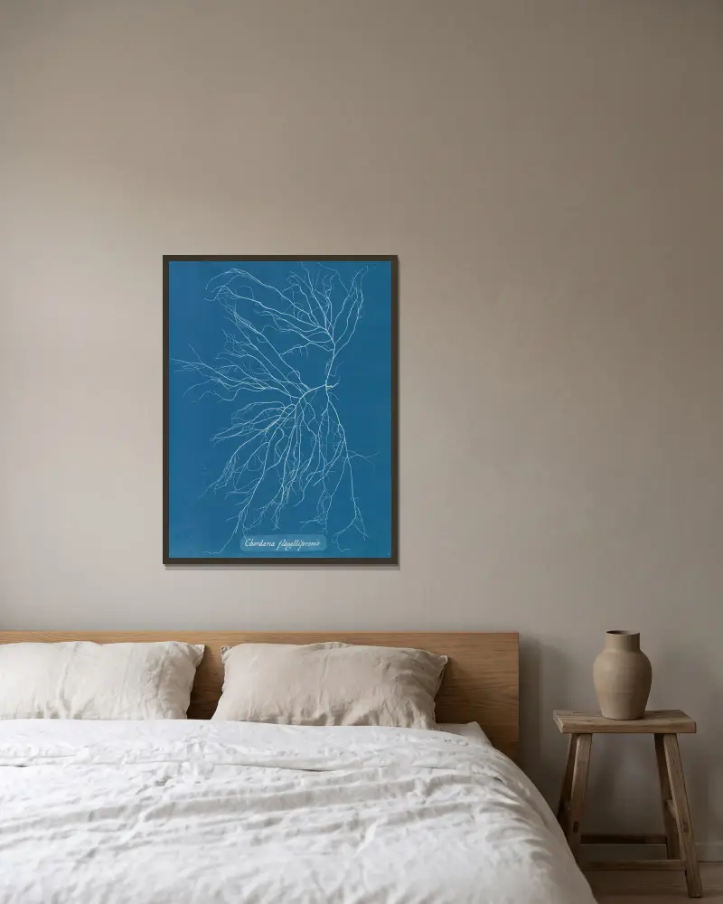 Chordaria flagelliformis, 1843 – Nr. 2, Anna Atkins w ramie na ścianie