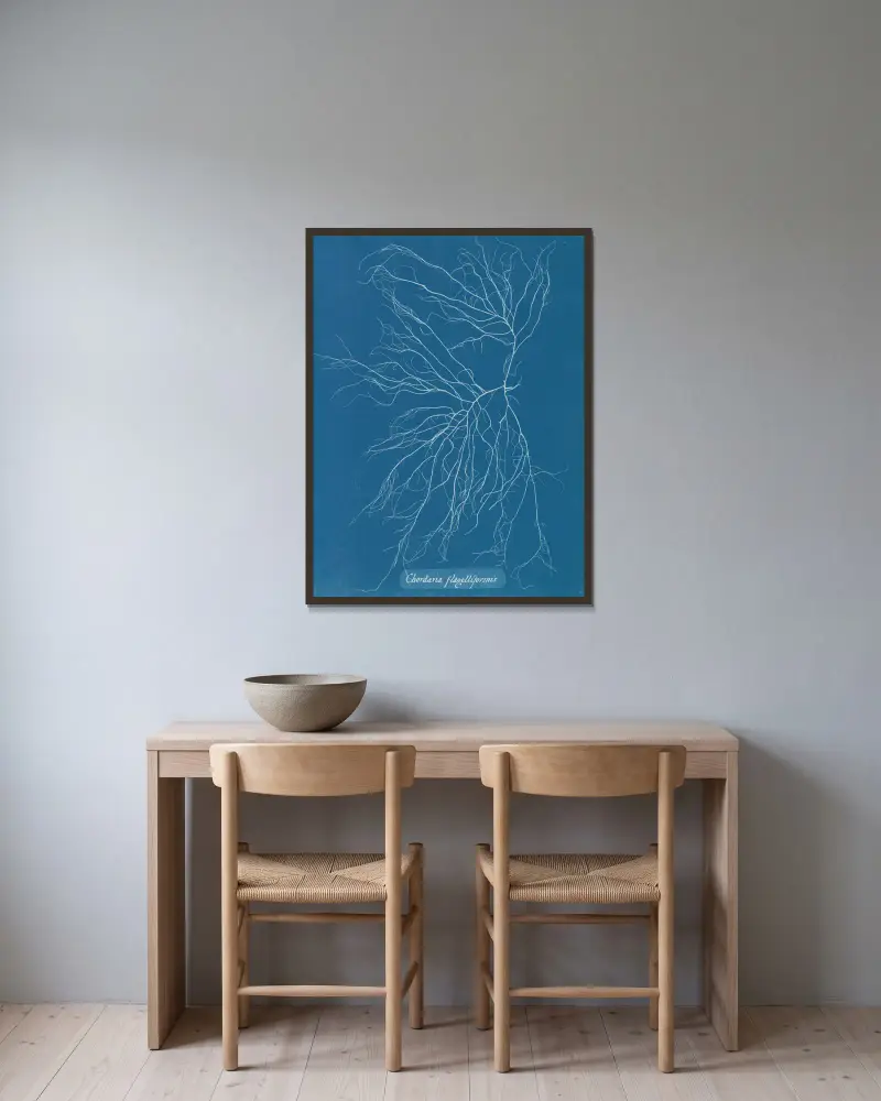 Chordaria flagelliformis, 1843 – Nr. 2, Anna Atkins w ramie na ścianie