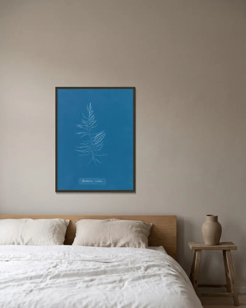 Dichloria viridis von Anna Atkins gerahmt an einer Wand