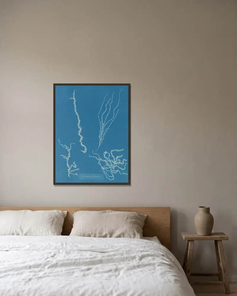 Dumontia filiformis von Anna Atkins gerahmt an einer Wand