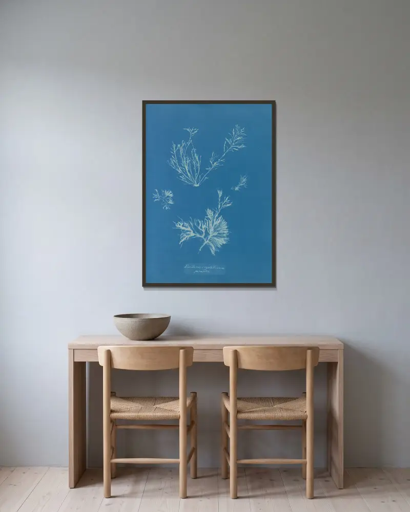 Exilaria crystallinum, parasitic av Anna Atkins inramad på en vägg