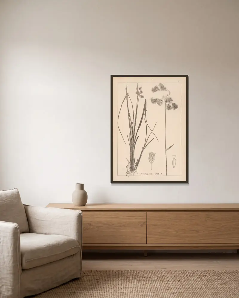 Herbier de la flore française Pl.1191 av Louis Antoine Cusin inramad på en vägg