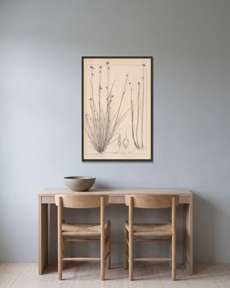 Herbier de la flore française Pl.1223 av Louis Antoine Cusin inramad på en vägg