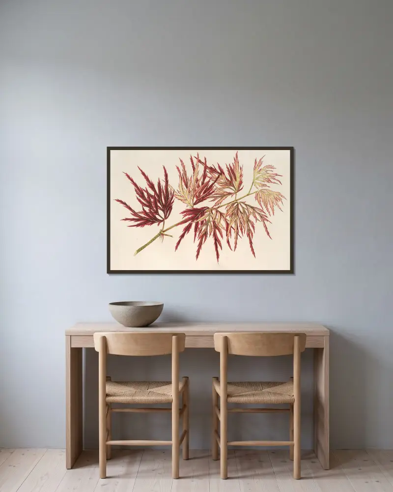Acer (polymorphum) palmatum, Charles Antoine Lemaire w ramie na ścianie