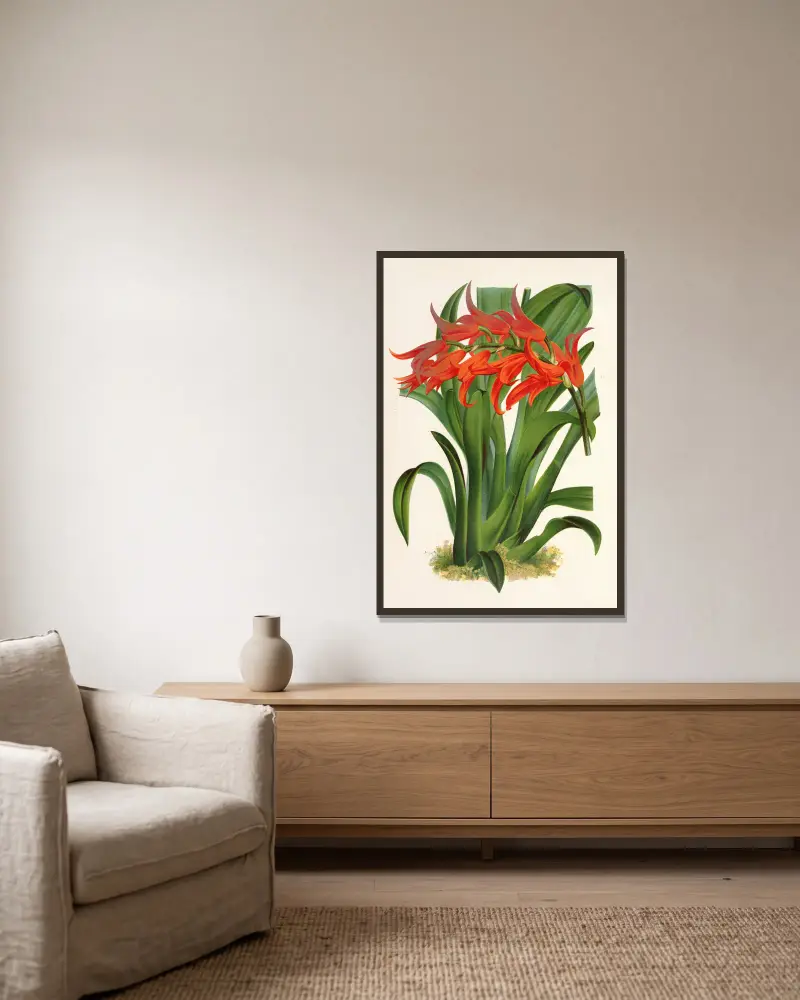 Ada aurantiaca von Charles Antoine Lemaire gerahmt an einer Wand