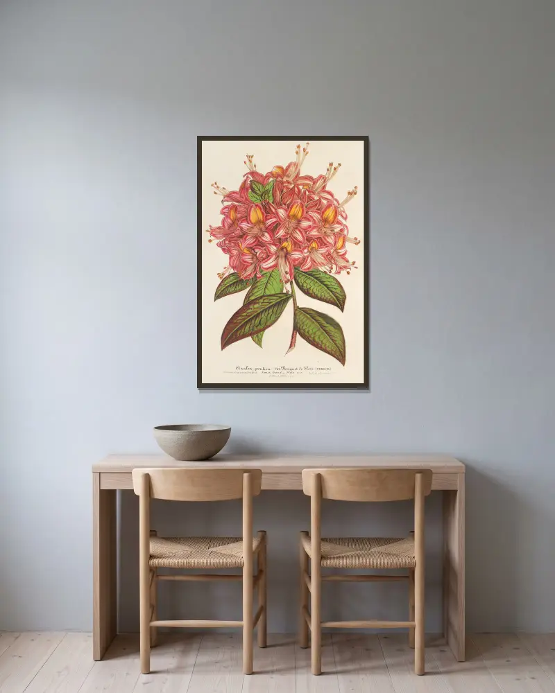 Azaléa Bouquet de Flore Hort. Versch von Charles Antoine Lemaire gerahmt an einer Wand