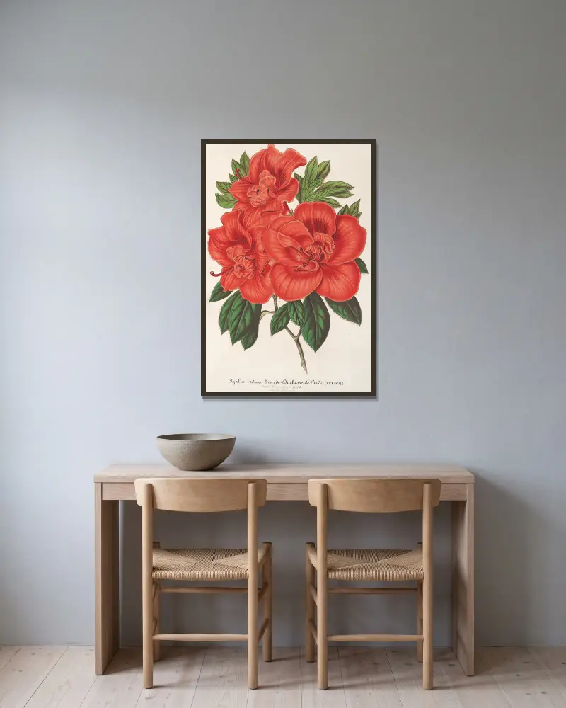 Azalea (indica) Storhertiginnan av Baden av Charles Antoine Lemaire inramad på en vägg