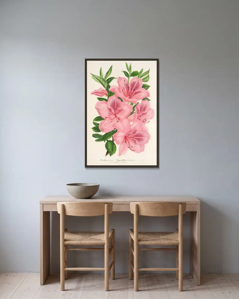 Azalea indica (hybrida) gigantiflora av Charles Antoine Lemaire inramad på en vägg
