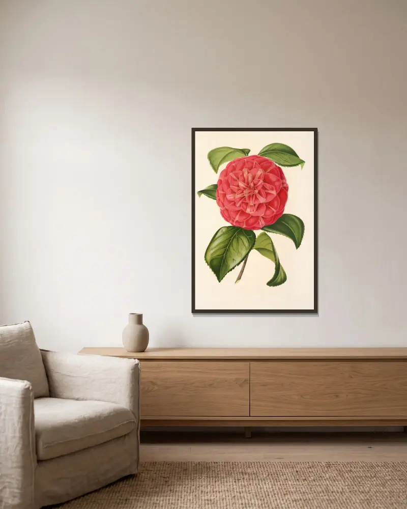 Camellia Francesco Burlamachi av Charles Antoine Lemaire inramad på en vägg