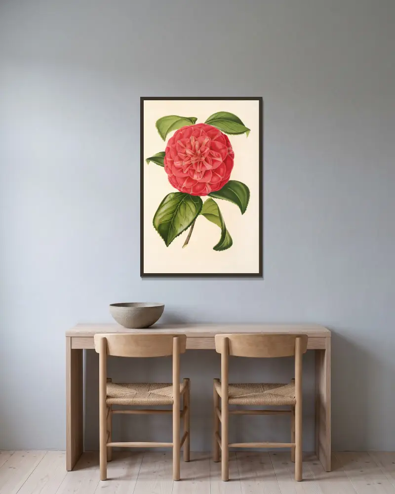 Camellia Francesco Burlamachi av Charles Antoine Lemaire inramad på en vägg