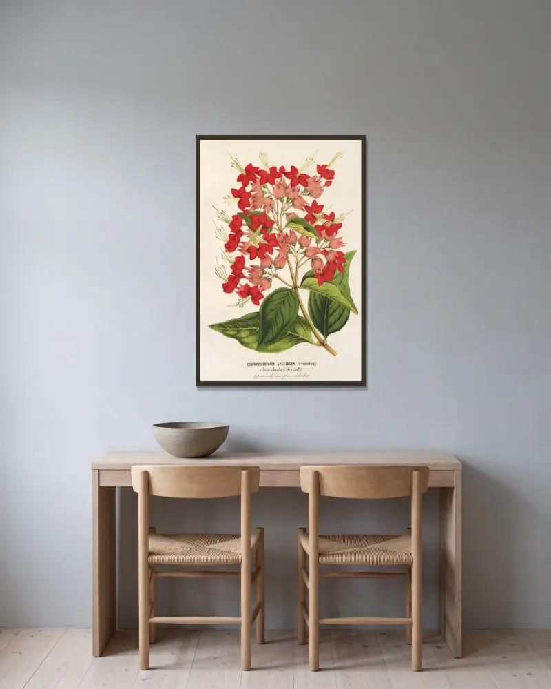 Clerodendrum speciosum (hybridum) av Charles Antoine Lemaire inramad på en vägg