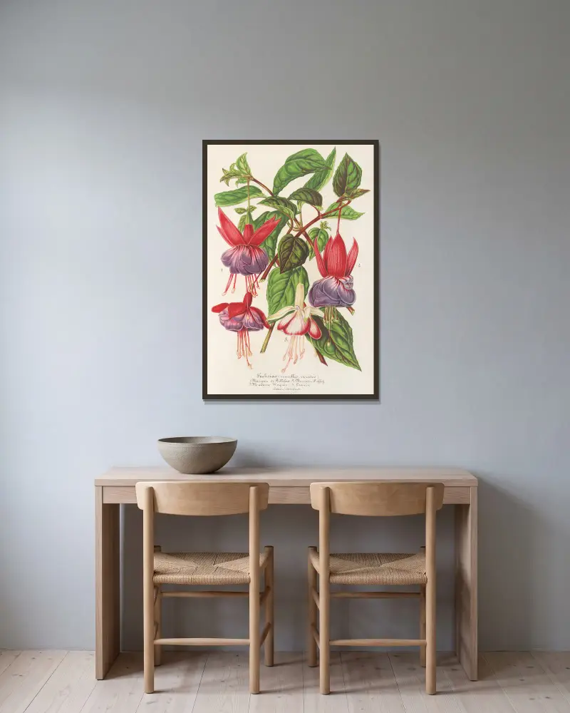 Fuchsie (neue Sorten), 1854 – Nr. 1 von Charles Antoine Lemaire gerahmt an einer Wand
