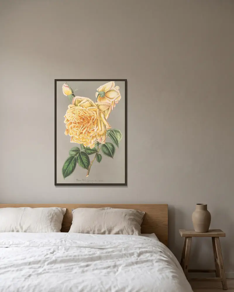 Rose (Thé) Jaune d’or av Charles Antoine Lemaire inramad på en vägg