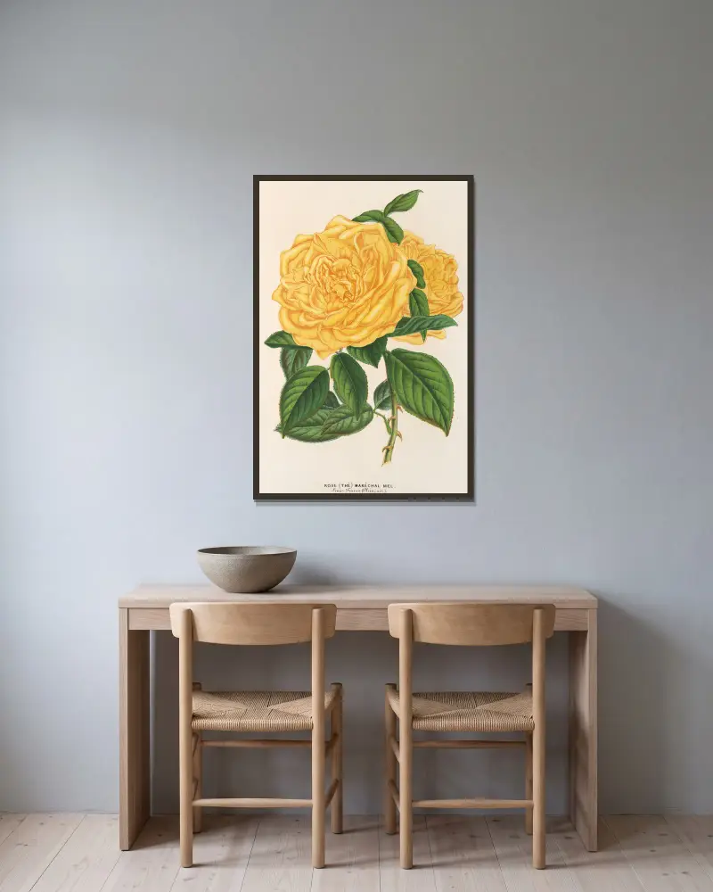 Rose (Tee) Maréchal Niel von Charles Antoine Lemaire gerahmt an einer Wand
