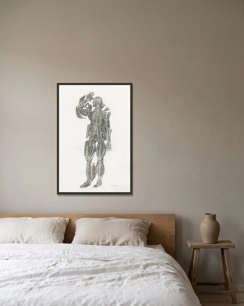 Anatomia Universale Pl.52 von Antonio Serantoni gerahmt an einer Wand