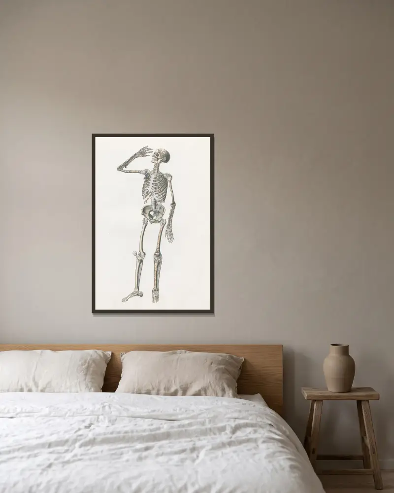 Anatomia Universale Pl.70 av Antonio Serantoni inramad på en vägg