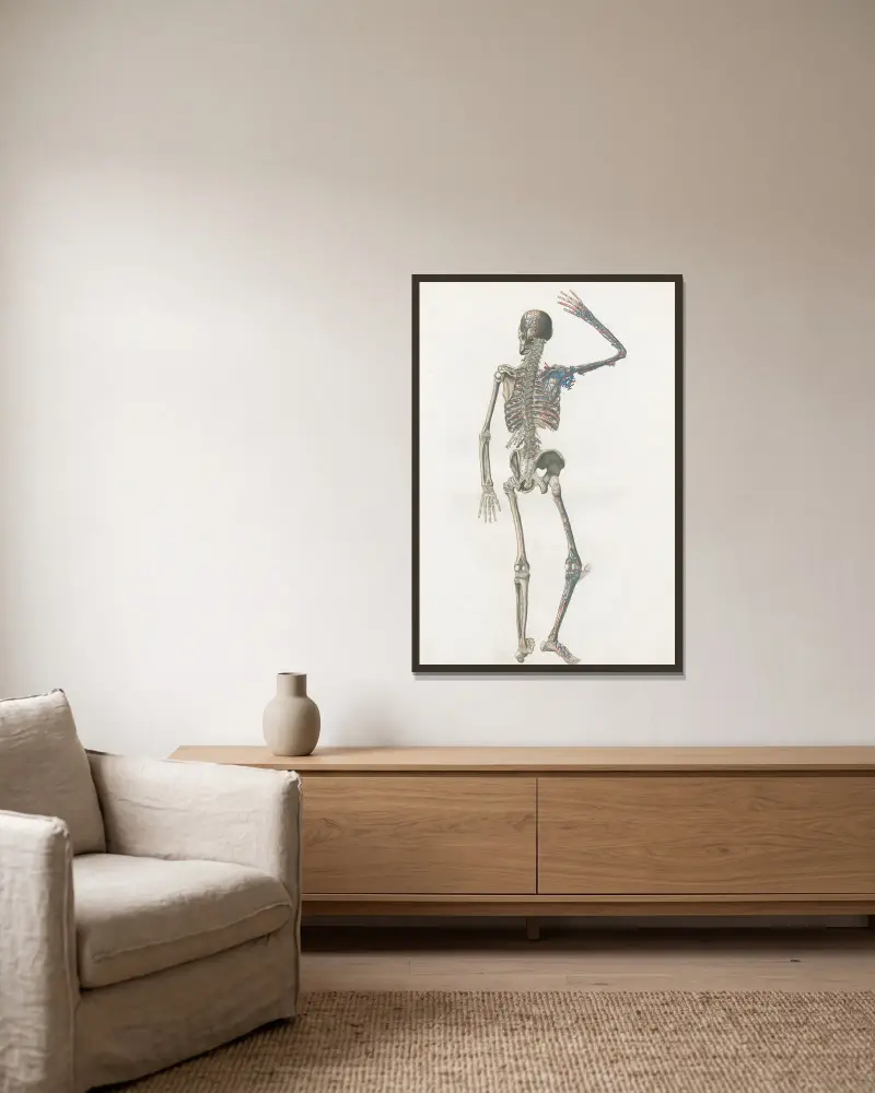 Anatomia Universale Pl.73 av Antonio Serantoni inramad på en vägg