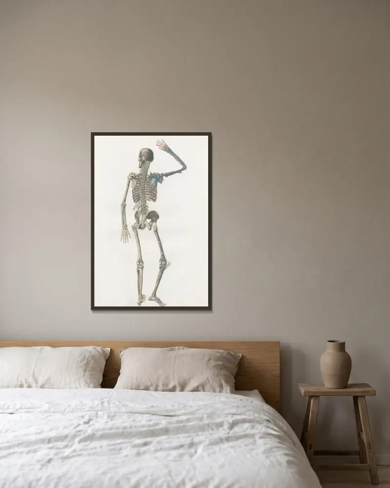Anatomia Universale Pl.73 av Antonio Serantoni inramad på en vägg