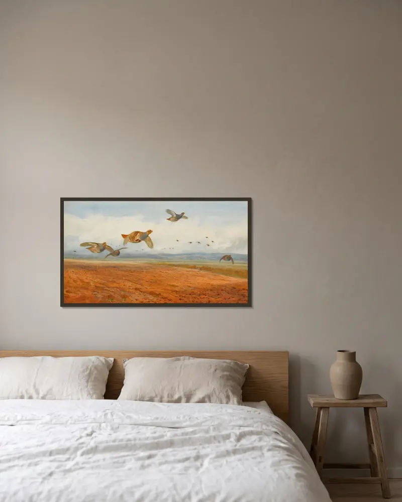 En flock gråa rapphöns i flykt av Archibald Thorburn inramad på en vägg