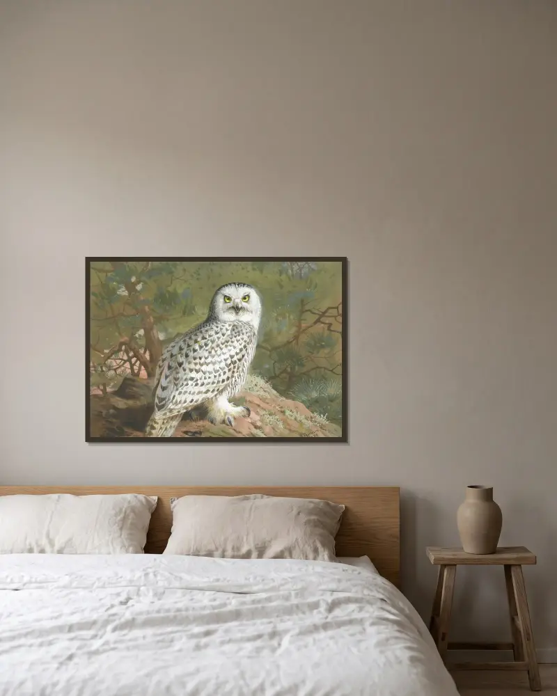 En snöuggla (hona) av Archibald Thorburn inramad på en vägg