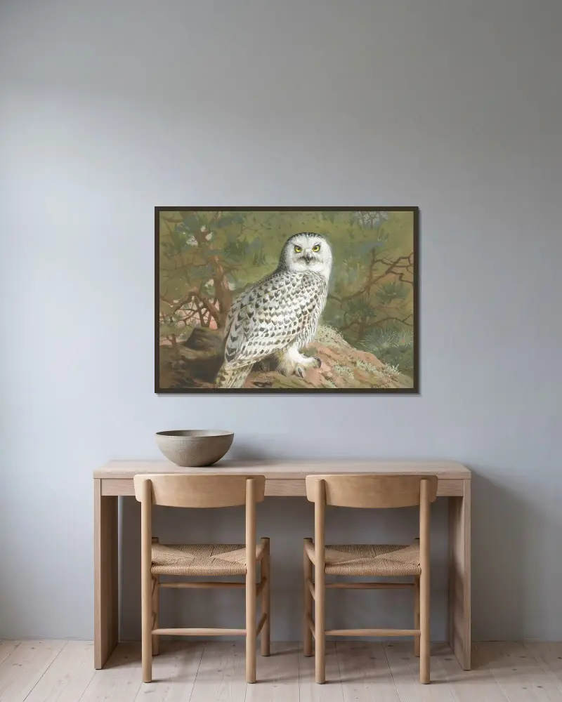 En snöuggla (hona) av Archibald Thorburn inramad på en vägg