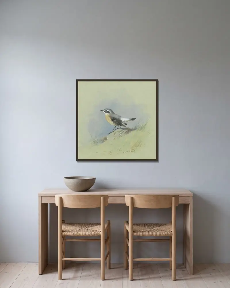 En stenskvätta (hane) av Archibald Thorburn inramad på en vägg