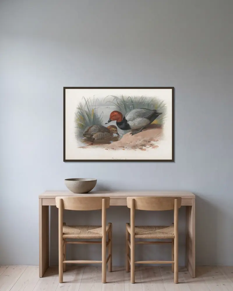 Ett par dykänder av Archibald Thorburn inramad på en vägg