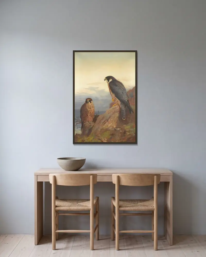 En vuxen och en ungfågel av pilgrimsfalk av Archibald Thorburn inramad på en vägg