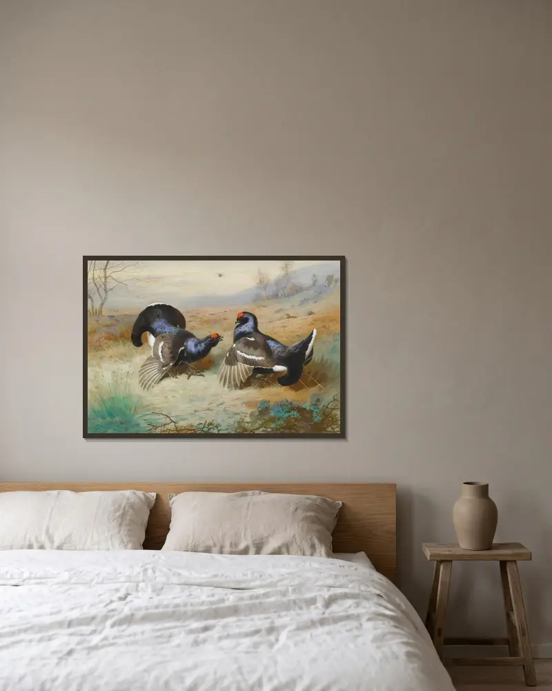 Blackcocks At The Lek av Archibald Thorburn inramad på en vägg