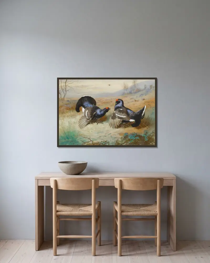 Blackcocks At The Lek av Archibald Thorburn inramad på en vägg