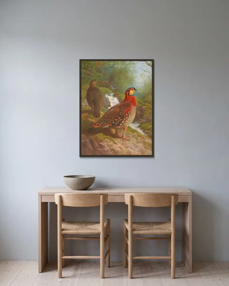 Blyth’s Tragopan av Archibald Thorburn inramad på en vägg