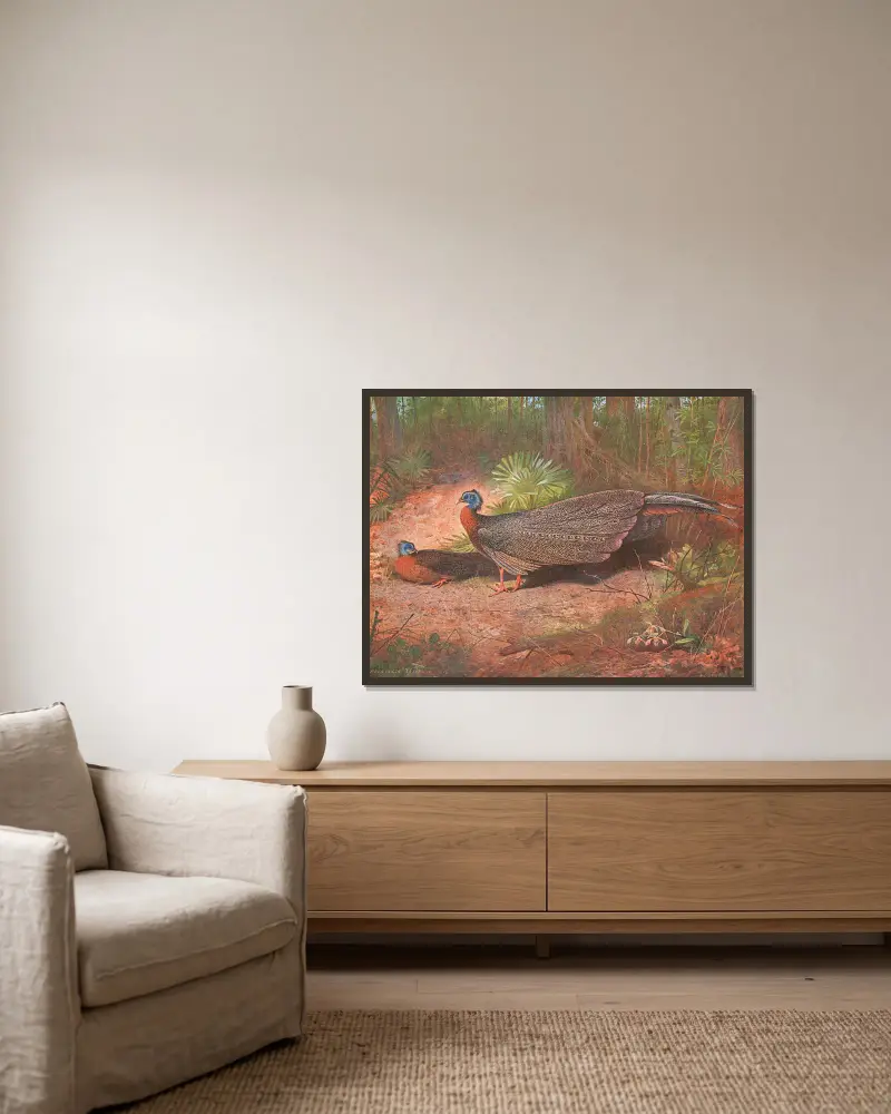 Borneo-Argusfasan von Archibald Thorburn gerahmt an einer Wand